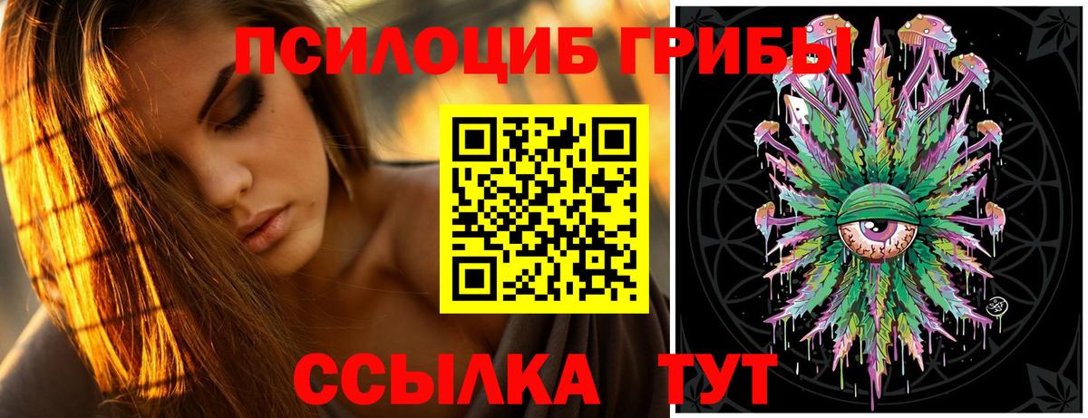 Галлюциногенные грибы Magic Shrooms  Псилоцибиновые грибы прущие грибы  Вход с VPN  купить наркоту  Славгород 