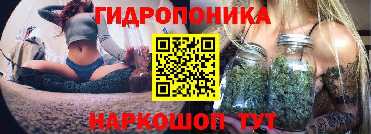 Славгород  Марихуана планчик  Каннабис ГИДРОПОН  Вход с VPN  Каннабис MAZAR 